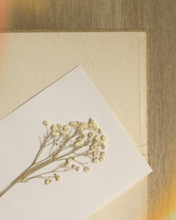 Load image into Gallery viewer, PRESSED WILDFLOWERS (NOSTALGIA COLLECTION)