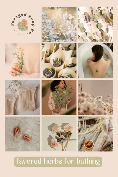 Favored Herbs for Bathing